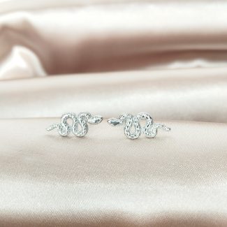 boucles d'oreilles puce en acier inoxydable argenté